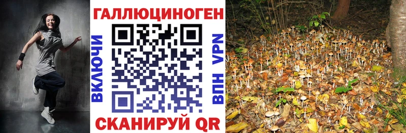 Галлюциногенные грибы GOLDEN TEACHER  Бугульма 